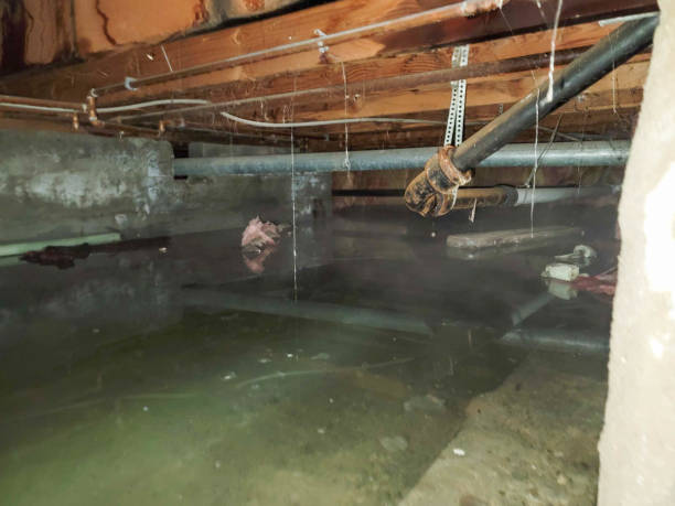 Best 24-hour water damage restoration  in Cove Creek, NC
