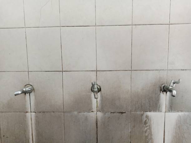 Best Professional water damage repair  in Cove Creek, NC
