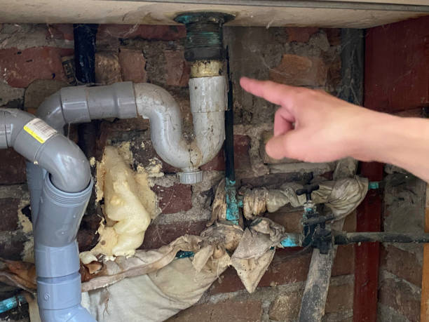 Best Ceiling water damage repair  in Cove Creek, NC